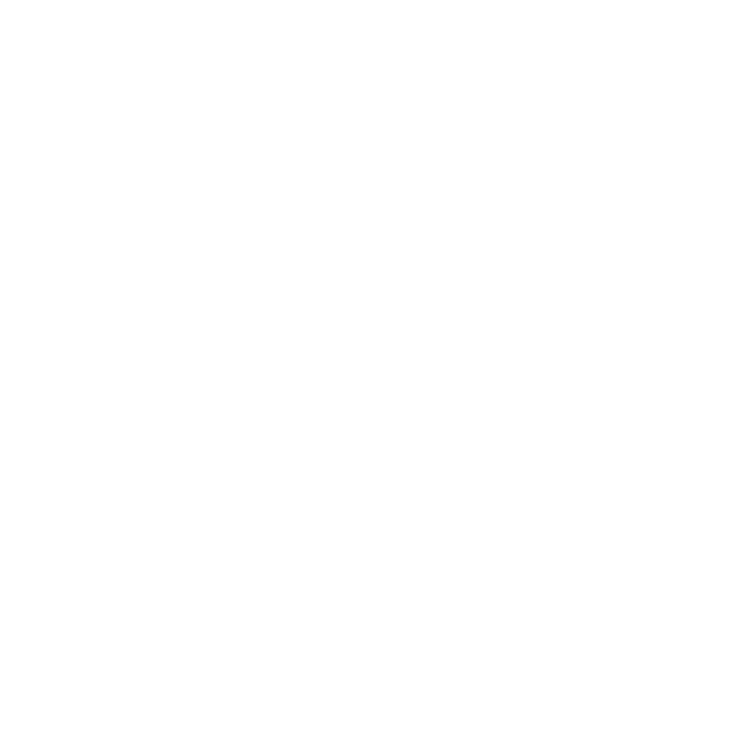 Embed Icon